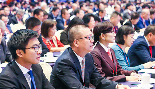 Mr. Joe Cheng participated in the first Overseas Chinese Conference in the Greater Bay Area